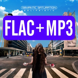FLAC and MP3
